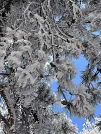 冰雪奇緣龍王山徒步踏, 雪賞霧淞