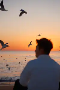 冬季阿那亞｜在日出之前