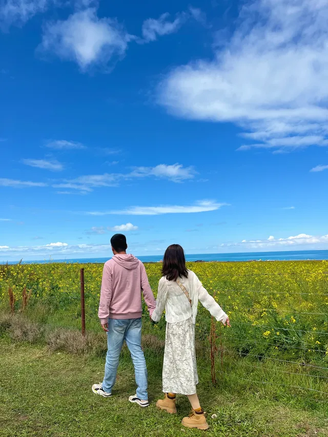 寧夏青海線Day3|闖入青海湖的藍眼淚 寧夏青海線Day3|闖入青海湖的藍眼淚