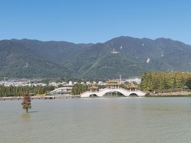 古建氧吧水月宮