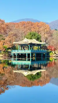 流徽榭，美得像金陵深秋的油畫秘境~