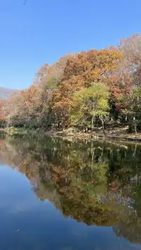 流徽榭，美得像金陵深秋的油畫秘境~