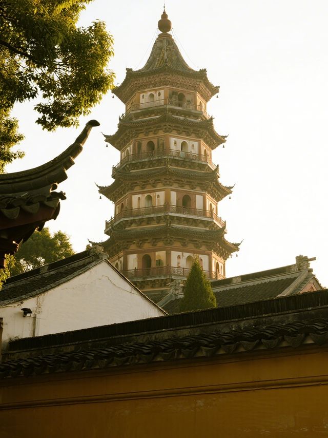 蘇州虎丘冬雪紅楓親子遊!帶娃打卡不費媽~ 蘇州虎丘冬雪紅楓親子遊!帶娃打卡不費媽~