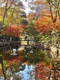 12.3魯迅公園秋日進度100％（附機位）