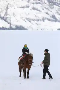 拒絕阿勒泰打卡團！這才是舒服的深度遊！