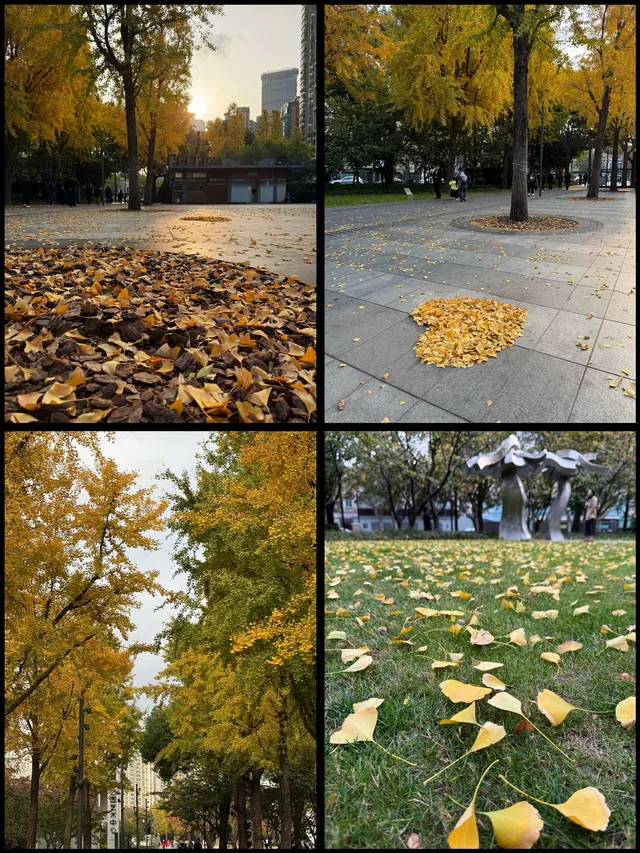 速藏靜安秋景限時上新附打卡指南！