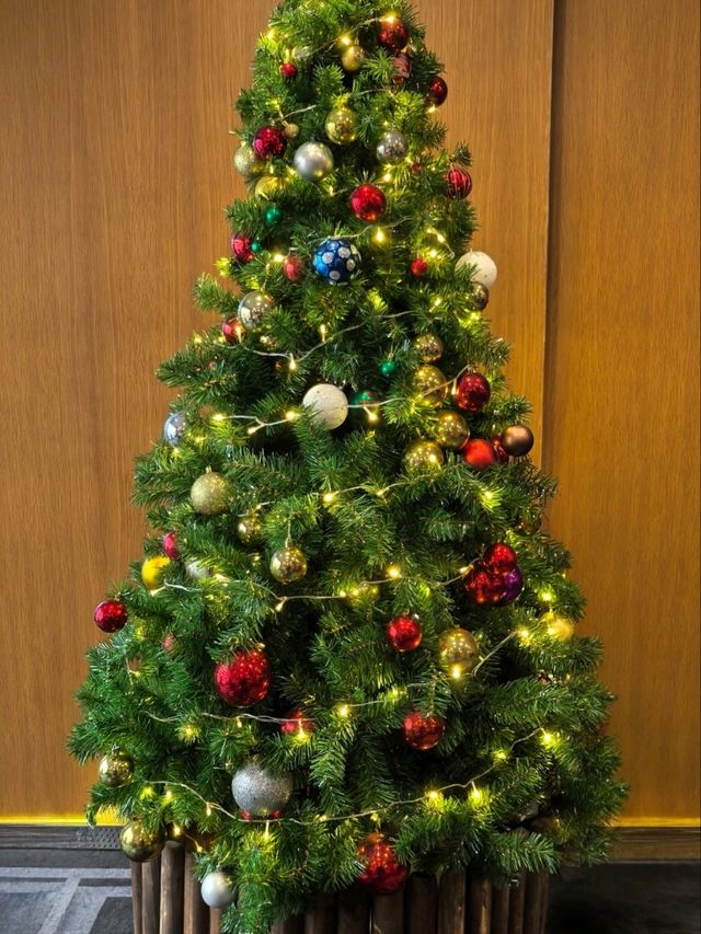 That sounds like a fantastic fusion stay  in Qingdao!🍻