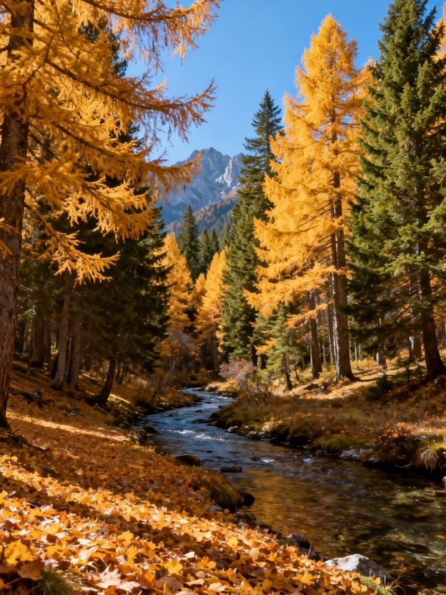 2000元玩轉長白山3人2天1夜超全避坑攻略 2000元玩轉長白山3人2天1夜超全避坑攻略