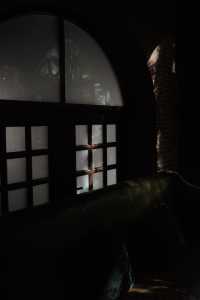 隱居武康路的秋日時光