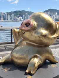 無錫→香港四天三晚|迪士尼+黃金+山頂,懶人專屬攻略!