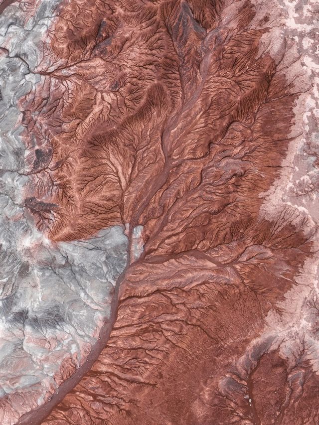 中國最孤獨的孩子—大地之子! 中國最孤獨的孩子—大地之子!