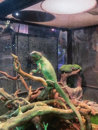 Stop wandering aimlessly! Here's how to enjoy Lanzhou Ocean Park without any pitfalls