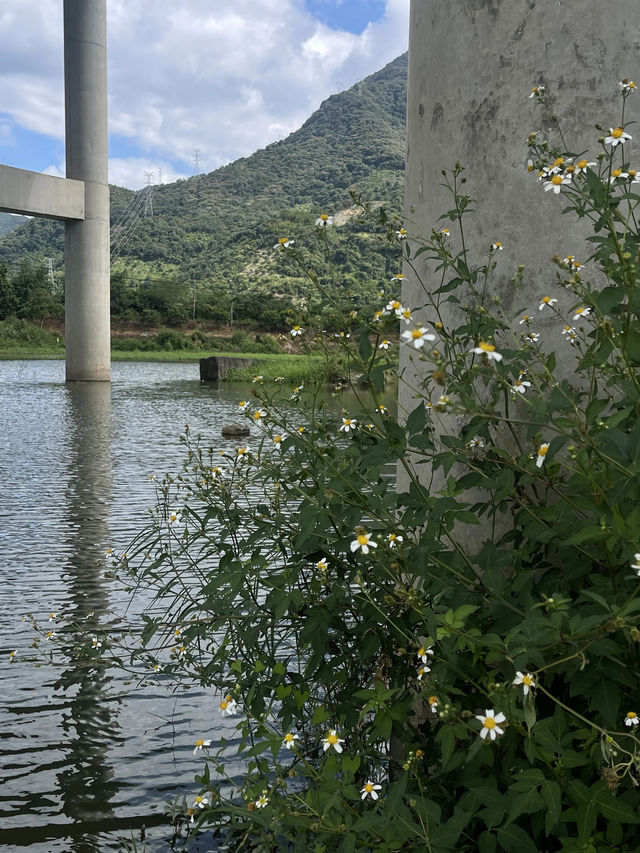 小長假美國14天 玩到爽攻略來啦