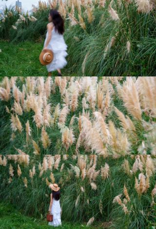 長沙の穴場スポット、曇りの日でも映画のような写真が撮れる蒲葦地