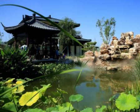 1.5 Hours from Beijing｜Complete Guide to Xiong'an Countryside Park