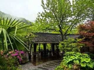 Сказочная страна под дождем! Я обрела радость уединения в горах в гостевом доме Suining Hemlock Forest Garden B&B.