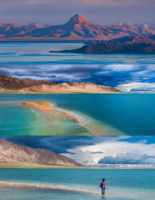 2026 왜 굳이 아리를 가야 할까