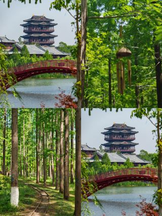 Back from Yancheng, and I really don’t recommend going in July or August because it’s just…