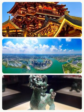 帶爸媽慢遊8地，省腿不累超省心