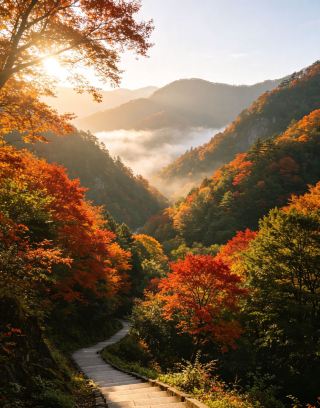 金秋の出会い・光霧山での約束