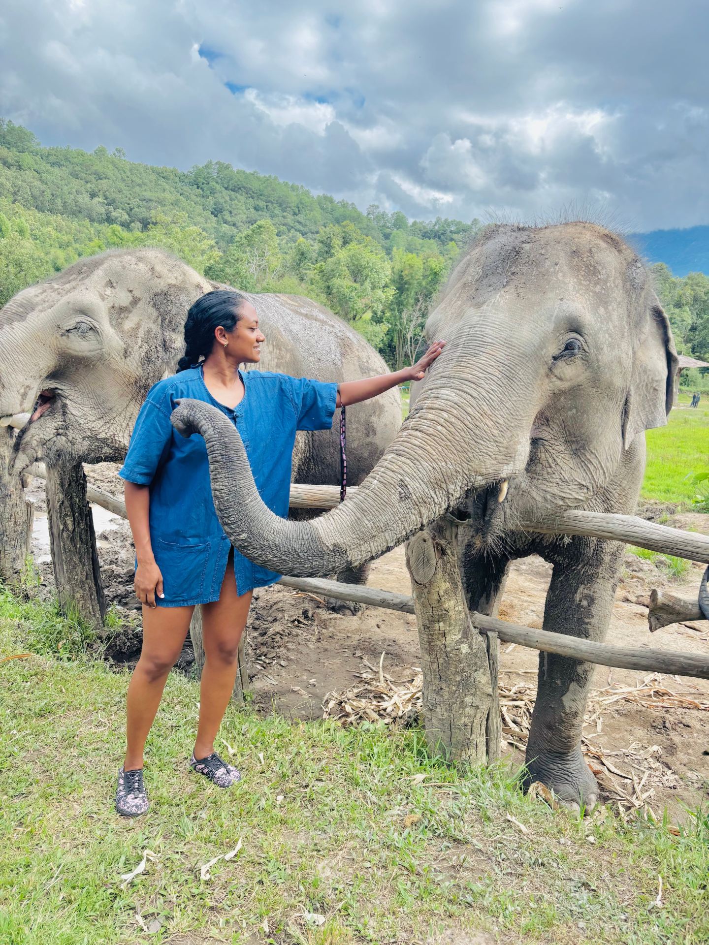 Heartwarming Experience at Green Elephant Sanctuary