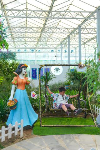 ภูเขาตุนชางอันหอมกรุ่นราวกับความฝัน | ความลับแห่งเทพนิยายเพื่อการเยียวยาที่ซ่อนเร้นอยู่ในไห่หนาน
