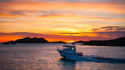 The Ultimate Sweden Travel Guide: From Aurora Wilderness to Island Slow Living, Master Nordic Relaxation in One Guide — traveler post in Lund