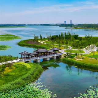 No need to travel to Jiangnan! North China hides a northern water town: Baiyangdian