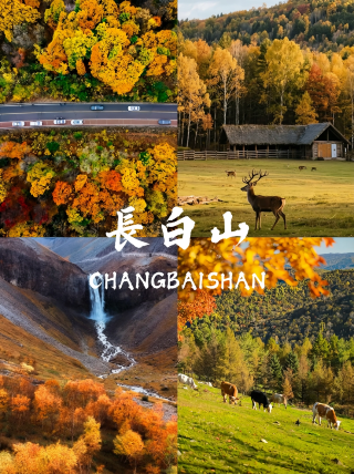 中秋國慶與朋友赴長白山｜這家民宿住得舒心