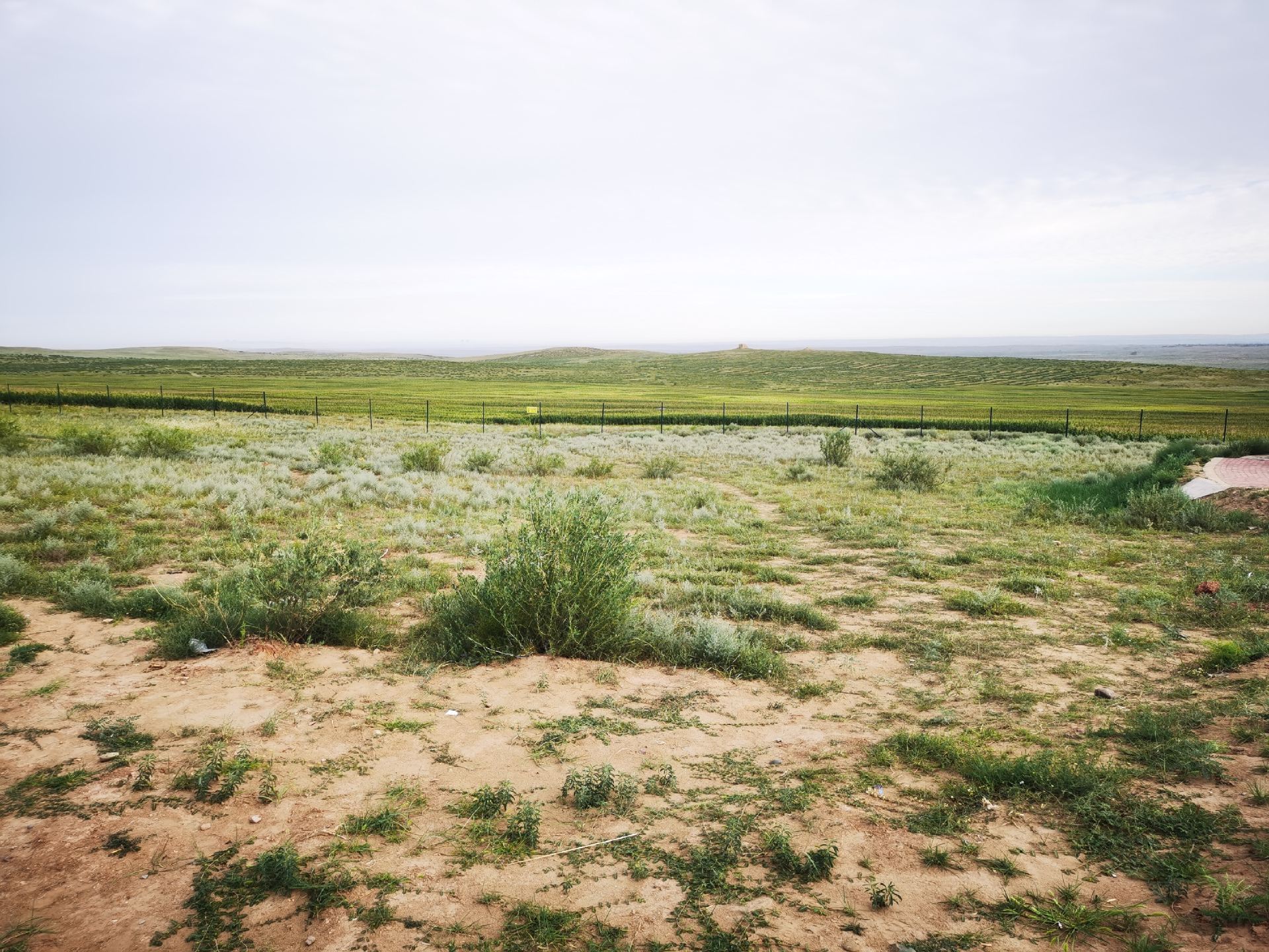 Yanchi: A thousand-year echo of lamb, at the foot of the Great Wall