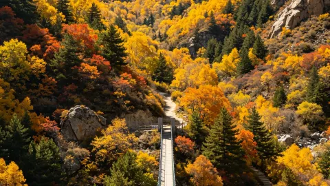 Catatan Wisata Musim Gugur Gunung Helan | Setengah Batuan Luas, Setengah Hutan Berwarna-warni. — traveler post in Ningxia