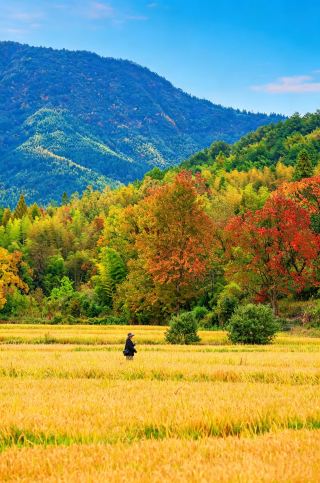 ทริปเที่ยวหวงซาน 3 วัน 2 คืน ฟรี! | พักในรีสอร์ทบ่อน้ำพุร้อนส่วนตัวของดีไซเนอร์ในหมู่บ้านโบราณหุยโจว