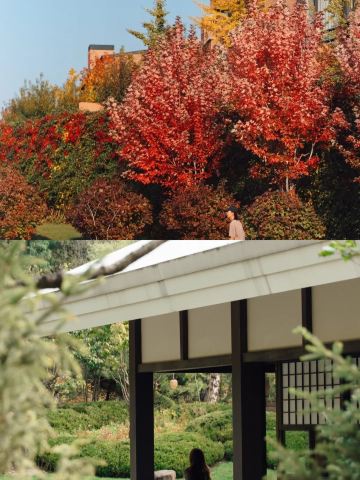 Autumn in Aranya has more than one look