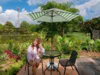 คาเฟ่ชิคๆ น่ารัก ย่านเมืองเก่าตะกั่วป่า - พังงา