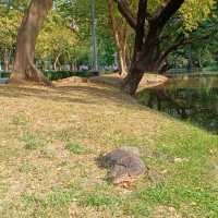 ルンピニ公園　バンコク