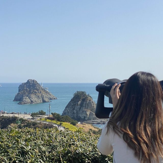 오륙도에는 벌써 봄이왔어요〰️💛