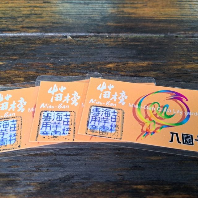 陽明山櫻花盛開啦！到處人山人海，大推苗榜餐廳驚豔的好吃