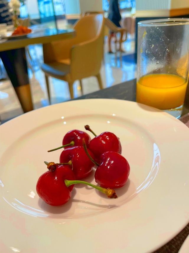 부산의 유일한 테라스뷰 호텔 ‘파라다이스 호텔’⭐️