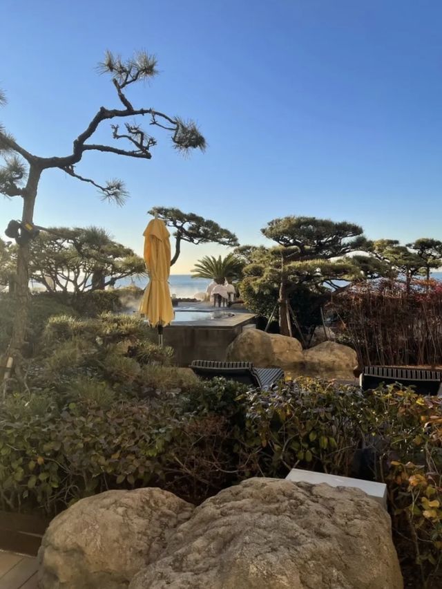 부산의 유일한 테라스뷰 호텔 ‘파라다이스 호텔’⭐️