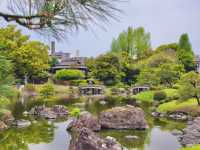 熊本. 九州🇯🇵🧸水前寺成趣園🏞️