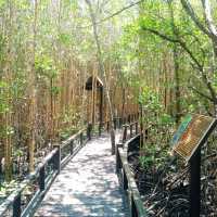 วนอุทยานปราณบุรี ประจวบคีรีขันธ์