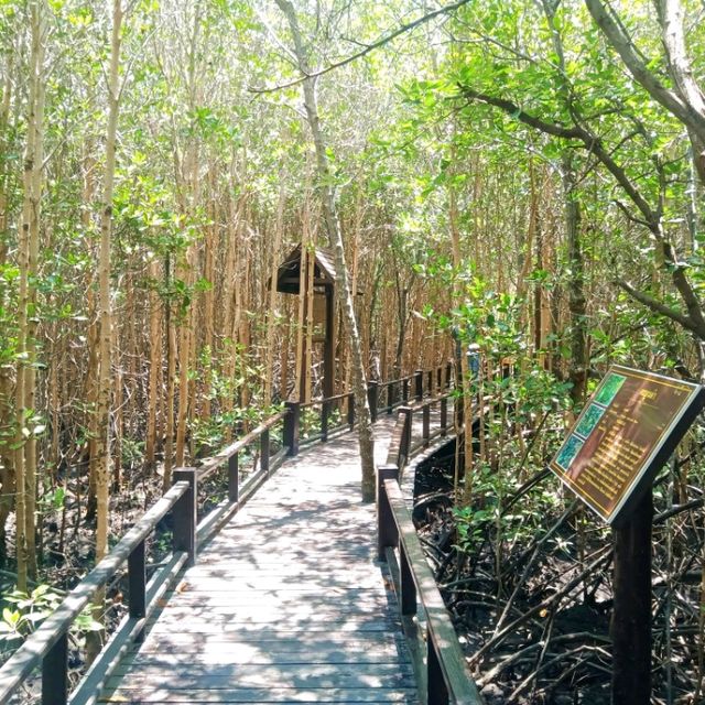 วนอุทยานปราณบุรี ประจวบคีรีขันธ์