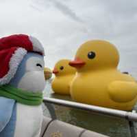Penguins meet Rubber Ducks