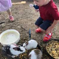 Kids Friendly Farm Chiyoda in Biei