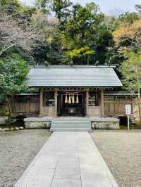 【安房神社/千葉県】日本三大金運神社