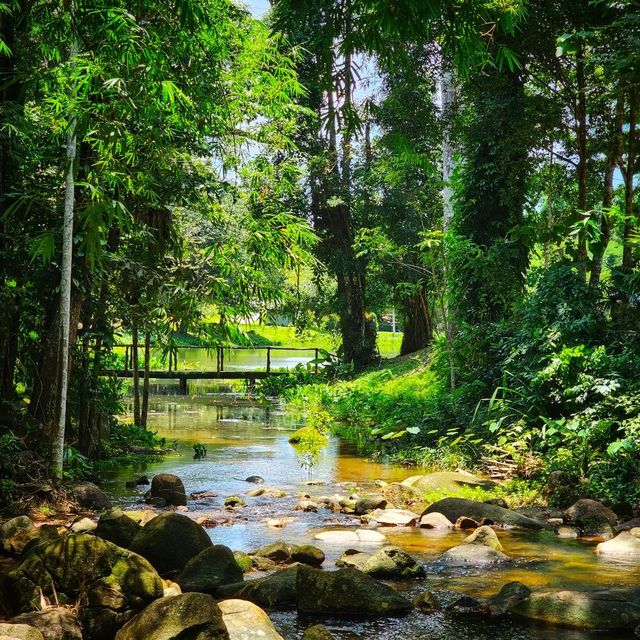 น้ำตกบางแป ภูเก็ต