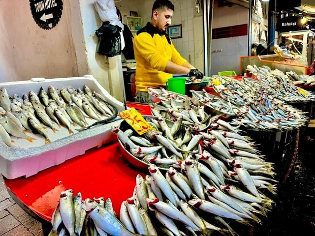 土耳其🇹🇷 伊士麥巴札