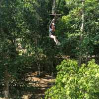 เล่น Zip Line ที่ Green Jungle Park