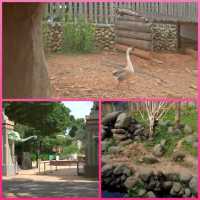 新竹市立動物園