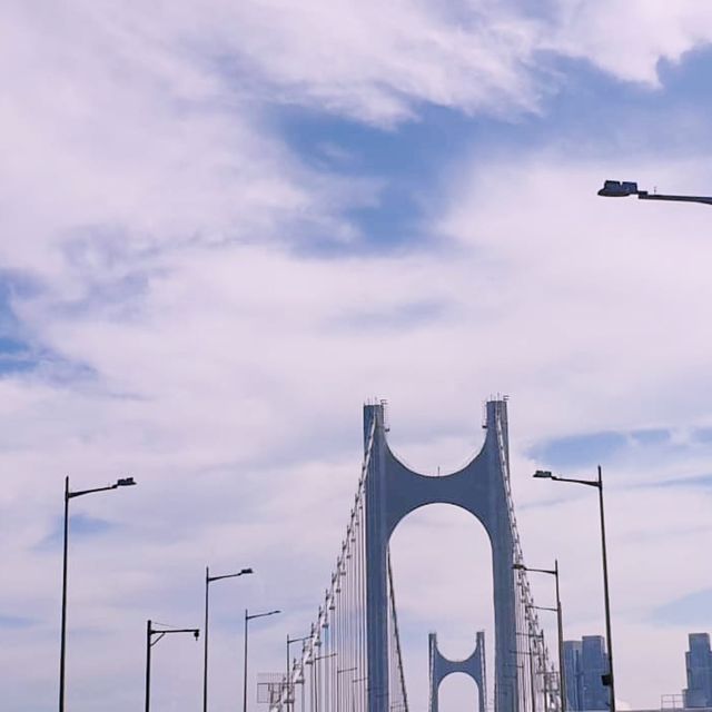 🌉 부산의 아름다운 바다 경관을 책임지는 부산항 대교! 